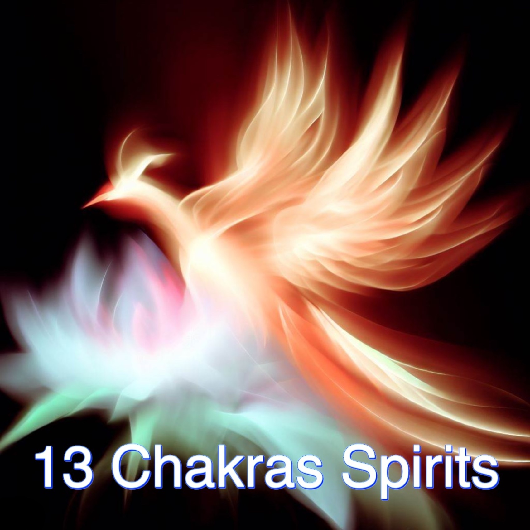 13 Chakras Spirits